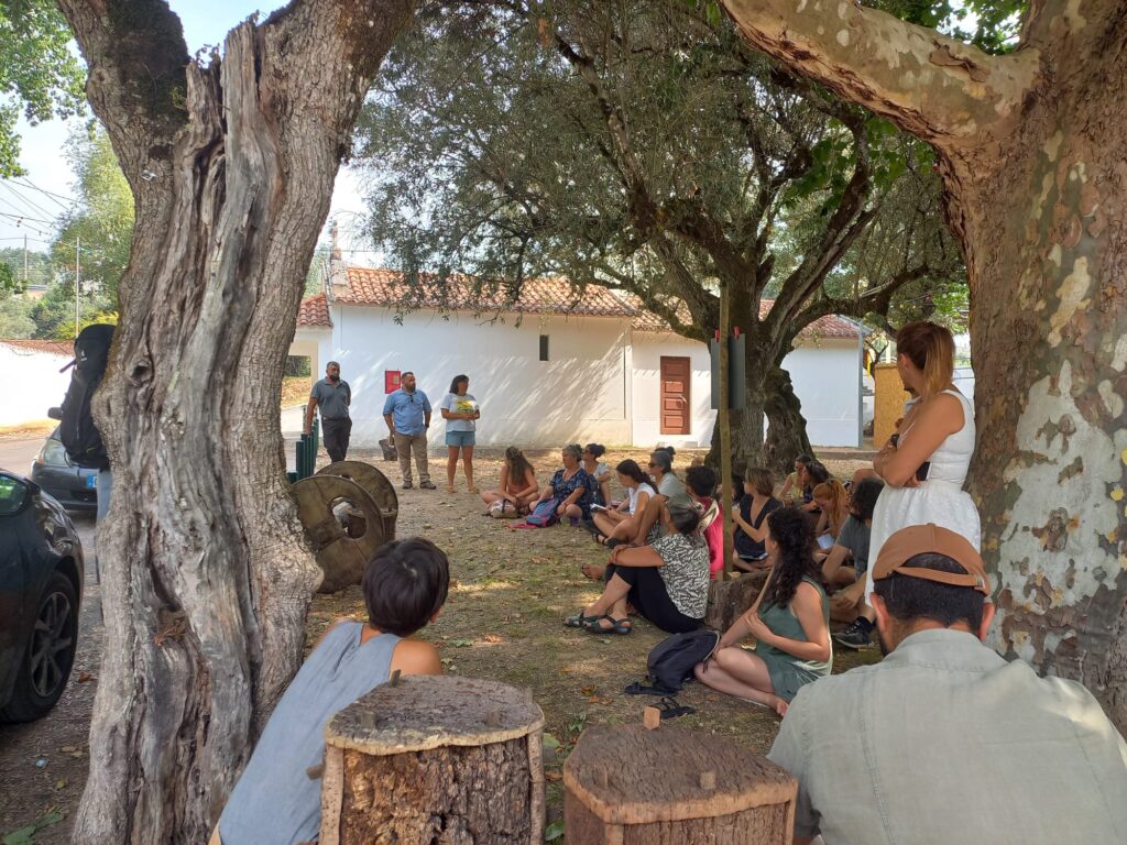 Image shows three trees under which a group of people are sat listening to a speech given by three people stood up in the background.