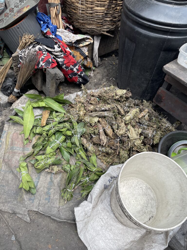 Green and brown leaves, or herbal medicines, bundled into small doses ready to sell, with a white bucket and brooms in the photo.